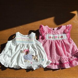 Good Lad Multicolor Embroidered Baby Dresses Lot of 2
